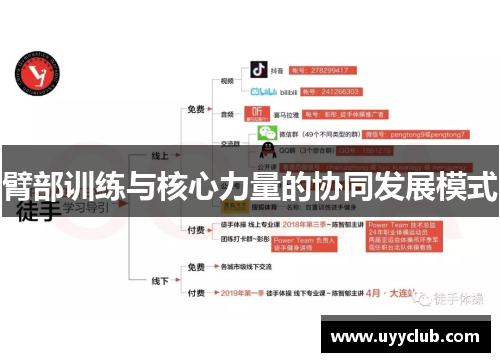 臂部训练与核心力量的协同发展模式